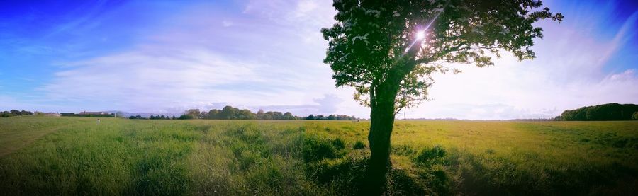 Scenic view of landscape against cloudy sky