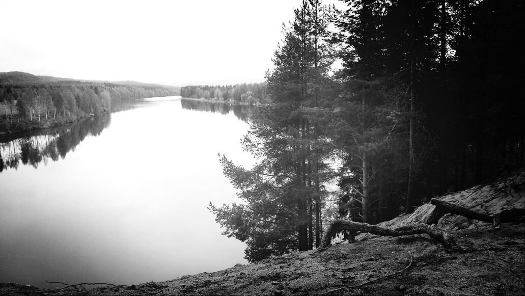 water, reflection, tranquility, tranquil scene, lake, clear sky, tree, scenics, beauty in nature, nature, standing water, river, calm, idyllic, non-urban scene, lakeshore, copy space, outdoors, day, sky