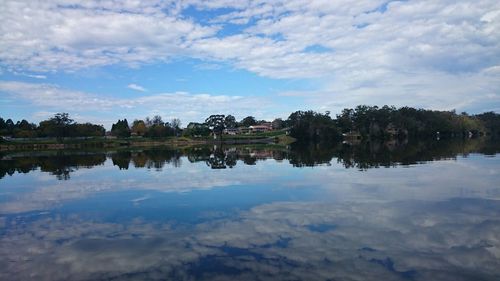 Reflection of trees in calm lake