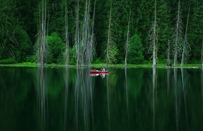 Boat sailing in lake