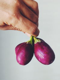 Close-up of hand holding apple against white background