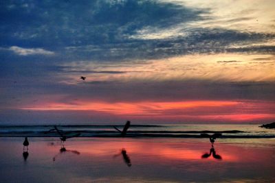 Silhouette birds flying over sea against orange sky