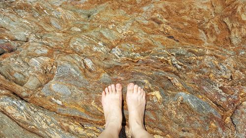 Low section of woman legs in water