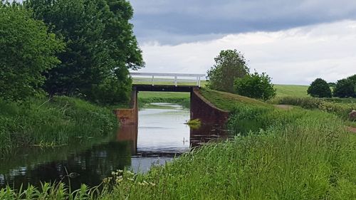 Bridge over grass by trees against sky