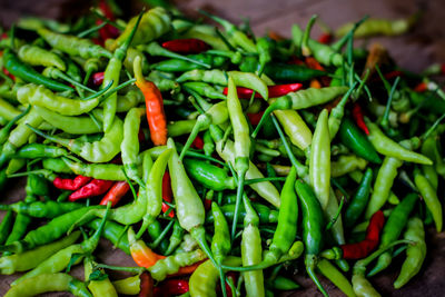 Close-up of green chili peppers