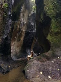 Close-up of goat in water