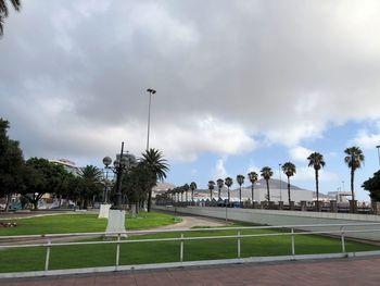 Street and palm trees against sky