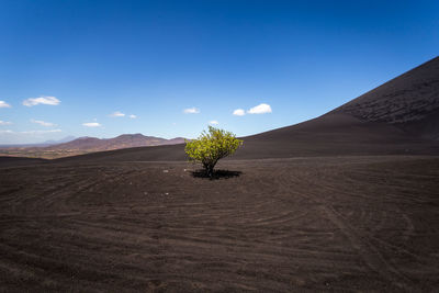 Scenic view of desert against sky