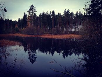 Reflection of trees in lake against sky