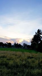 Scenic view of agricultural field against sky during sunset