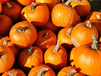 Full frame shot of pumpkins for sale at market stall