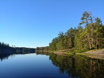 Scenic view of lake against clear blue sky