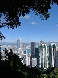 Buildings in city