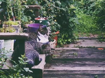 Woman sitting by plants