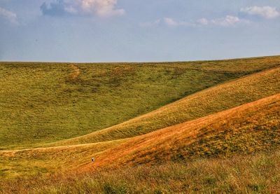 Scenic view of field against sky