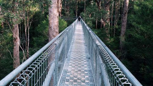 Footbridge at forest