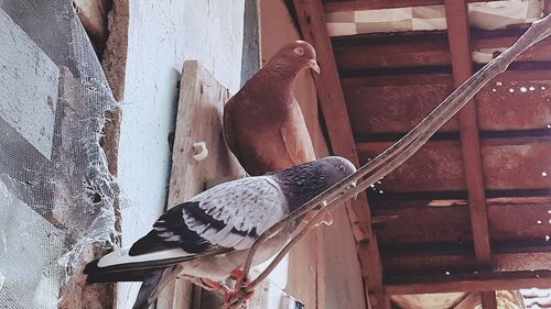 Close-up low section of man