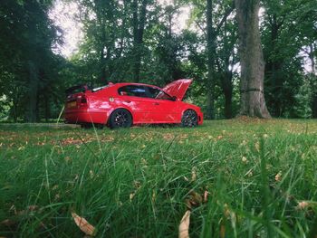 Red toy car on field