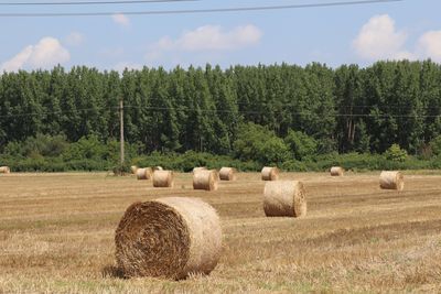 Hay bales on field against sky