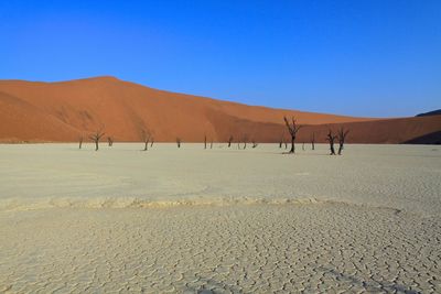 Scenic view of desert against clear blue sky