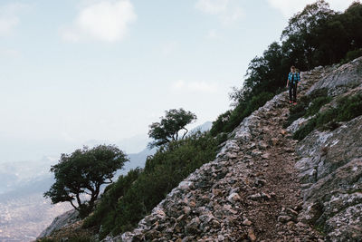Man by tree against sky