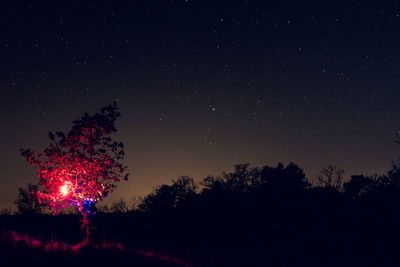 Silhouette trees on field against sky at night