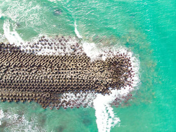 Aerial view of sea