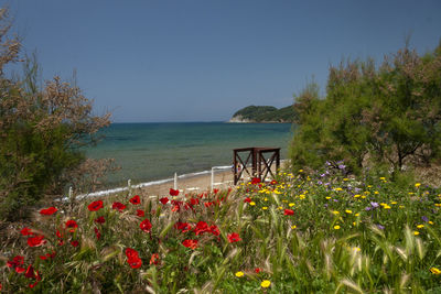 Scenic view of sea against sky