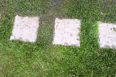 High angle view of stone wall in field