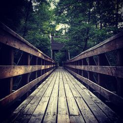 Surface level of wooden footbridge leading towards forest