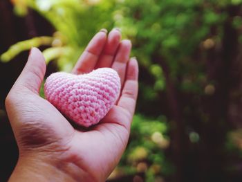 Cropped hand of woman holding plant