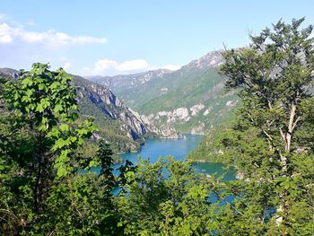 Scenic view of lake and trees against sky