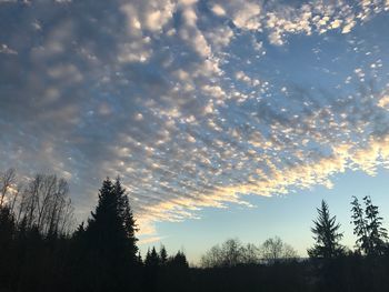 Low angle view of silhouette trees against sky