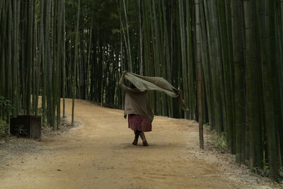 View of a dancing woman in the bamboo forest