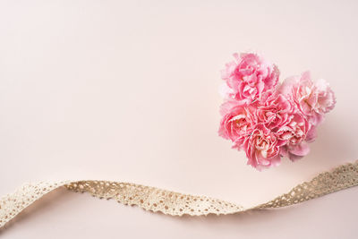 Close-up of pink roses against white background