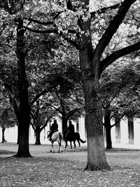 People walking in park