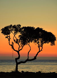 Scenic view of calm sea at sunset