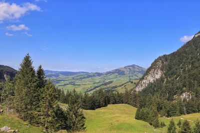 Scenic view of landscape against blue sky