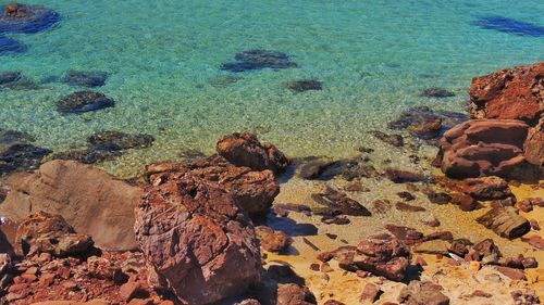 High angle view of rocks at shore