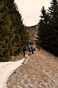 People riding horse cart on snow covered trees against sky