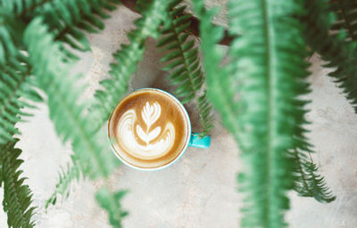 High angle view of coffee