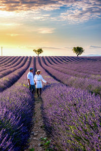 People on street amidst field against sky during sunset