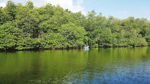 Scenic view of lake by trees against sky