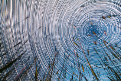 Full frame shot of feathers