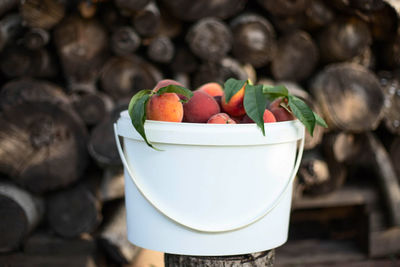 Ripe harvested farm peaches in a bucket in the garden stand against the felled trees.