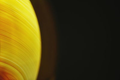 Close-up of yellow colored pencils against black background