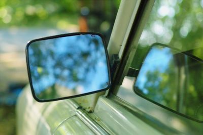 Reflection of trees in side-view mirror