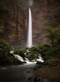 Scenic view of waterfall in forest