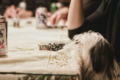Close-up of dog and coins on table