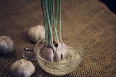 Close-up of food on table